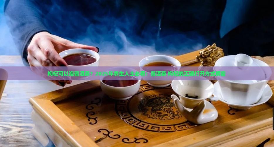 枸杞可以泡普洱茶