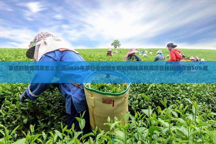 靠谱的熟普洱茶怎么加盟