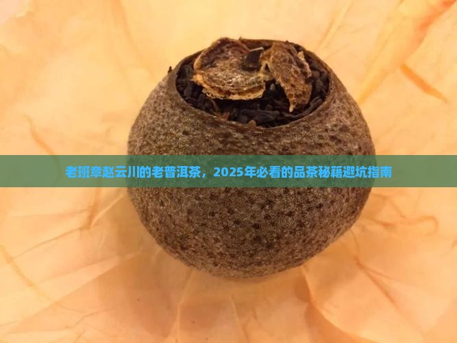 老班章赵云川老普洱 老班章赵云川老普洱