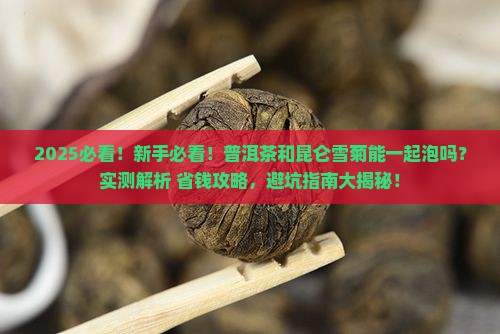 普洱茶和昆仑雪菊能一起