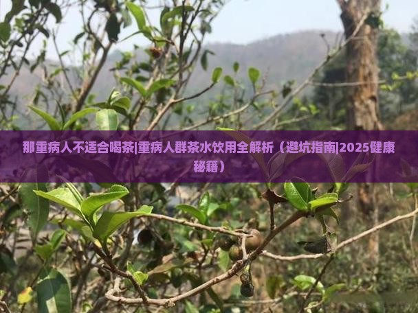 那重病人不适合喝茶 那重病人不适合喝茶