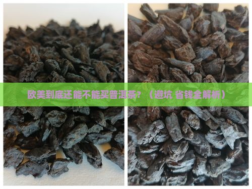 欧美普洱茶禁售吗现在多少钱