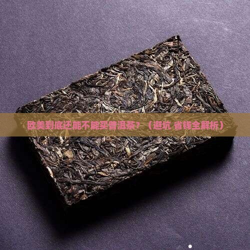 欧美普洱茶禁售吗现在多少钱