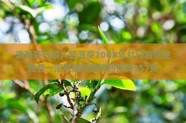 滇湘茶行黎人普洱茶
