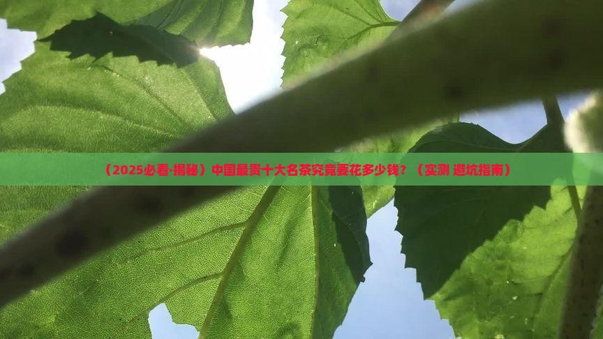 中国最贵十大名茶多少钱