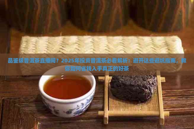 品鉴级普洱茶直播间