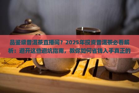 品鉴级普洱茶直播间