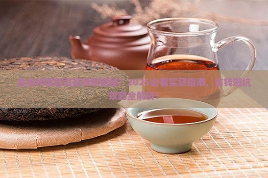 金池种苗普洱茶好吗
