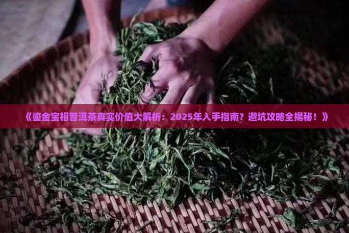 鎏金宝相普洱茶