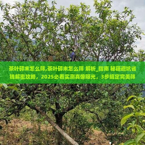 茶叶碎末怎么筛