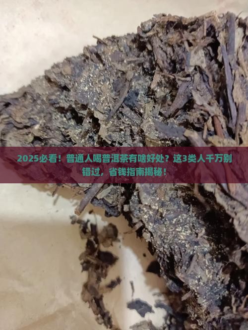 普洱茶适合什么人群使用