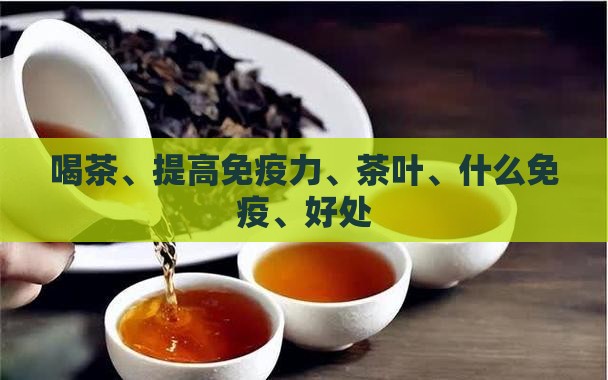 喝茶叶可以提高免疫力吗