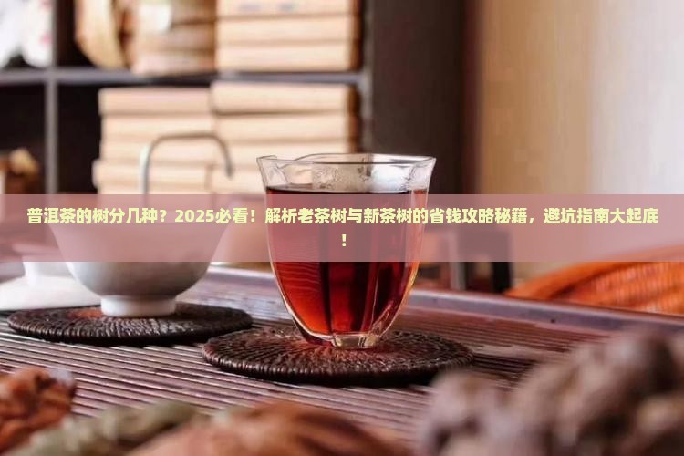 普洱茶的树分几种