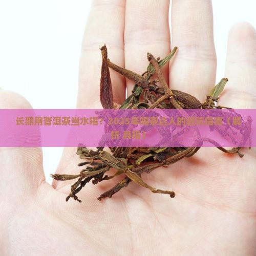 长期喝普洱茶代替水可以吗