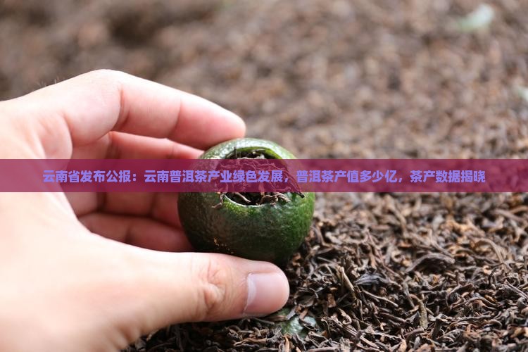 云南普洱茶产值多少亿
