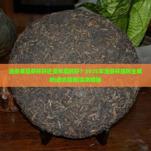 泡茶单层茶杯好还是双层的好