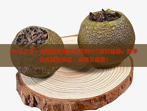 普洱茶能与菊花