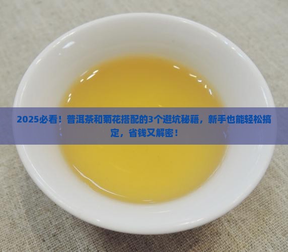 普洱茶能与菊花