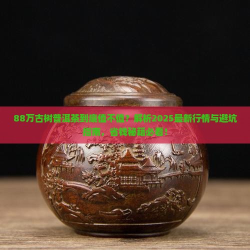 88万的古树普洱茶