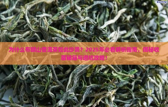 布朗山普洱茶的历史