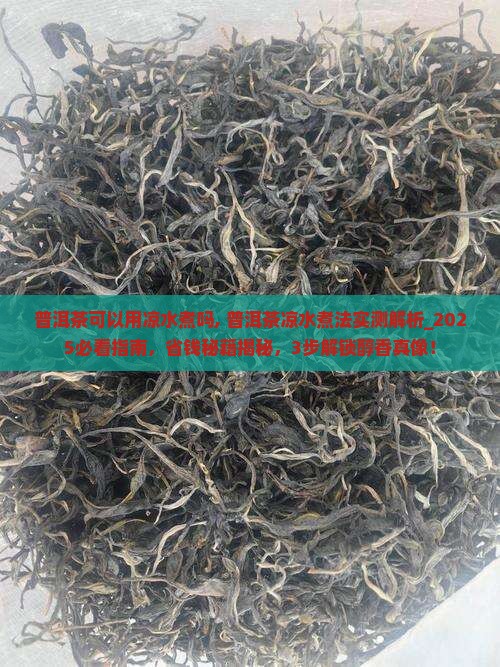 普洱茶可以用凉水煮吗