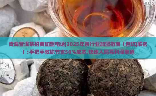 青海普洱茶招商加盟电话