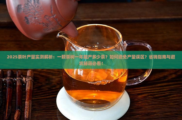 一颗茶树一年能产多少茶