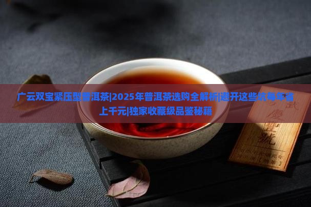 广云双宝紧压型普洱茶