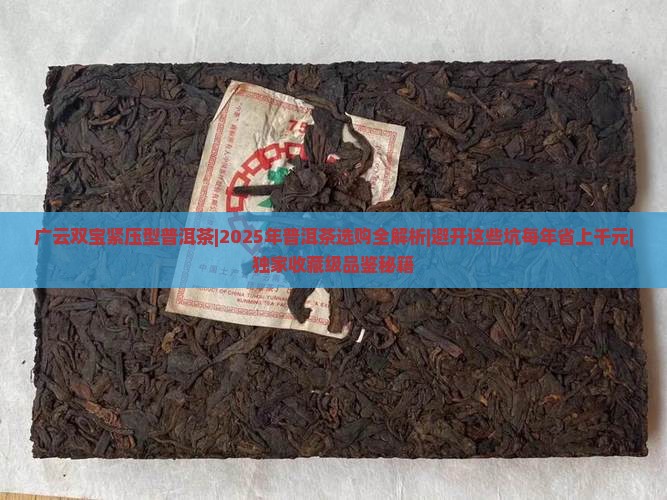 广云双宝紧压型普洱茶