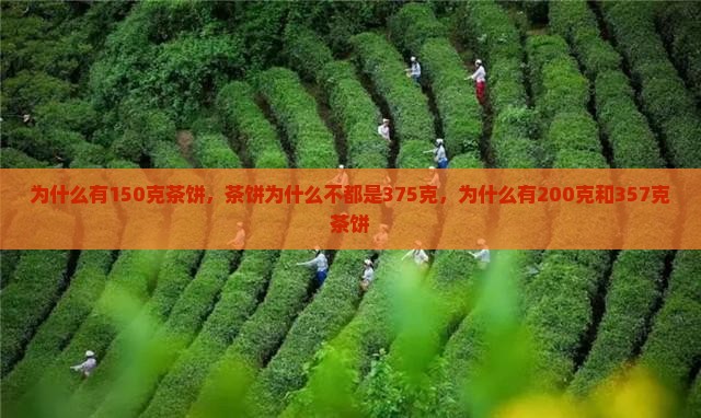 为什么有150克茶饼