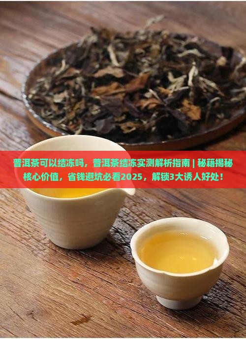 普洱茶可以结冻吗