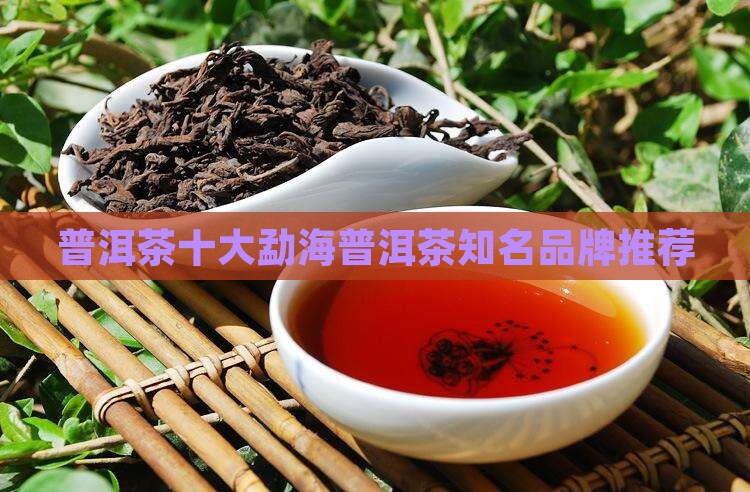 勐舍普洱茶哪里的好