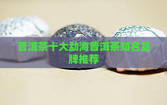 勐舍普洱茶哪里的好
