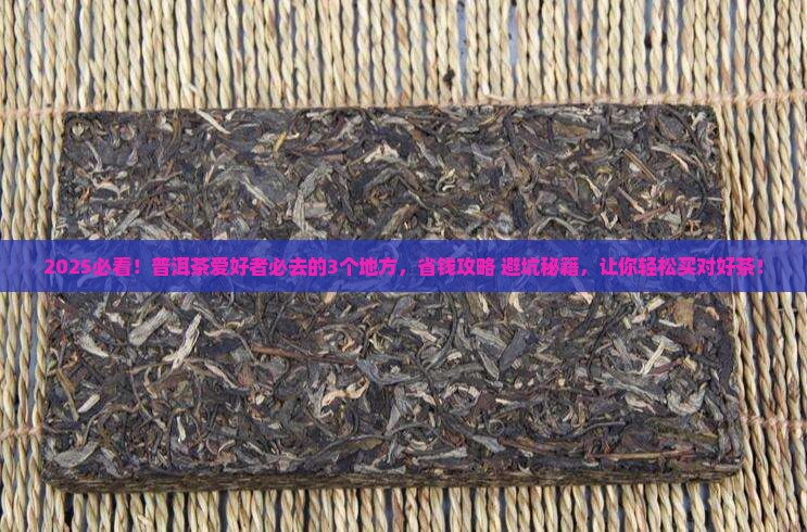 普洱茶去什么地方买最好