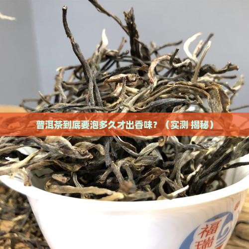 普洱茶泡多久才有香味