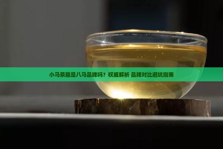 小马茶趣是八马品牌吗