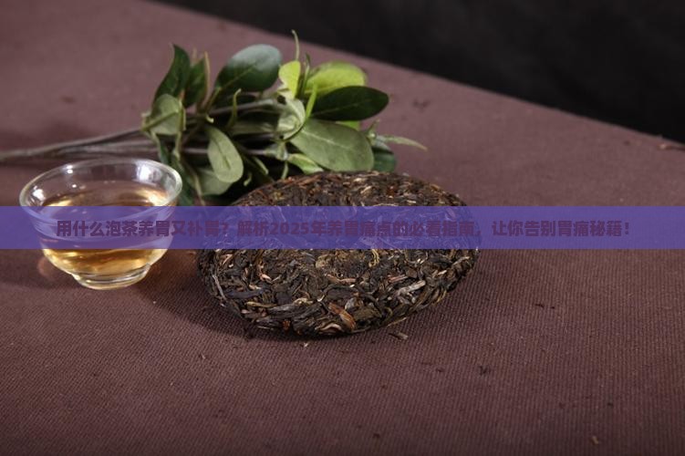 用什么泡茶养胃又补胃