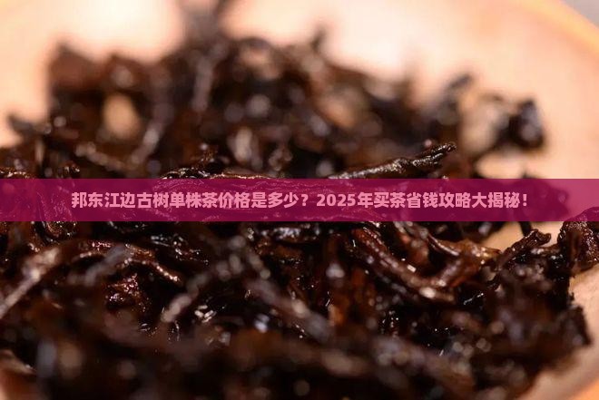 邦东江边古树单株茶多少钱一斤