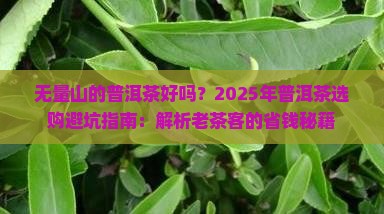 无量山的普洱茶好吗