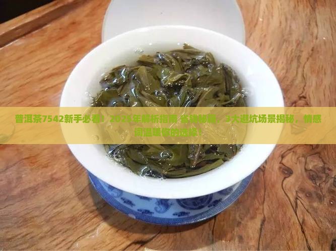 301普洱茶7542