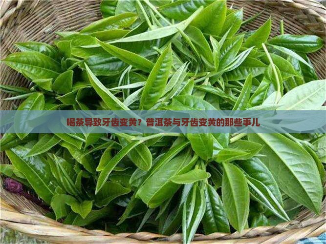 刚喝完普洱茶牙就变黄