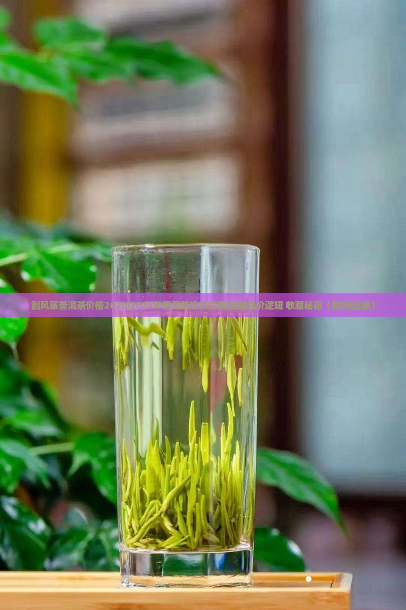 刮风寨普洱茶价格2020