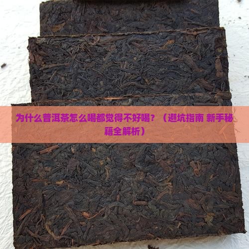 普洱茶怎么喝都不好喝怎么回事