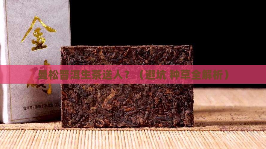 曼松普洱生茶送人怎样