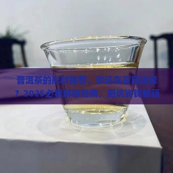 普洱茶的形状推荐