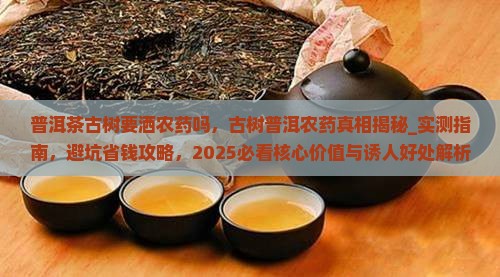 普洱茶古树要洒农药吗