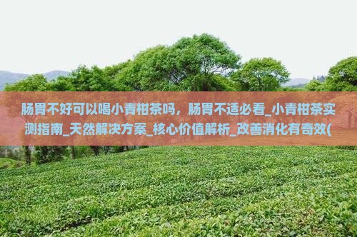 肠胃不好可以喝小青柑茶吗