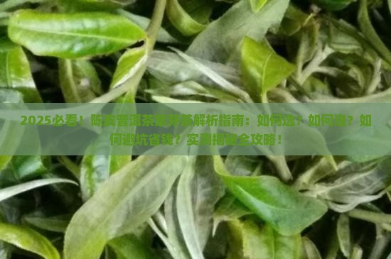 陈皮普洱茶紫芽茶