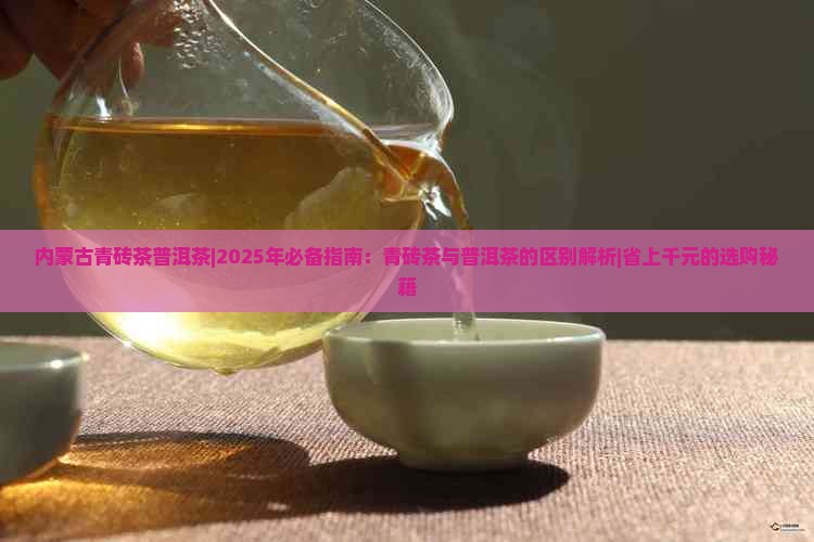 内蒙古青砖茶普洱茶