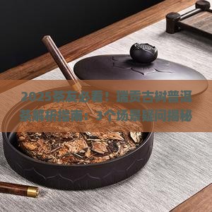 瑞贡古树普洱茶